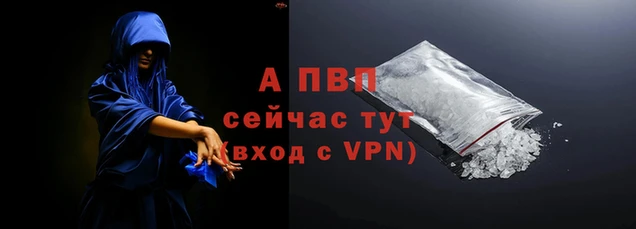 СК Братск