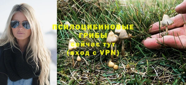 прущая мука Абаза