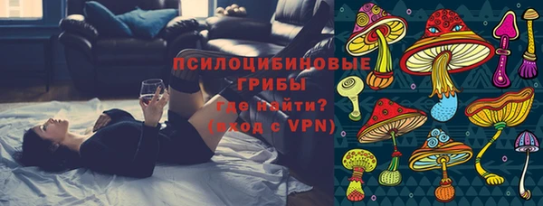 ПСИЛОЦИБИНОВЫЕ ГРИБЫ Абинск